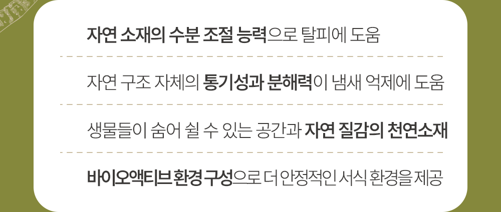 갈라파고스 그린 테라리움 스패그넘 모스