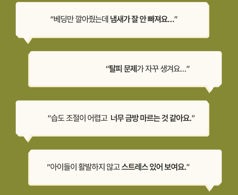 갈라파고스 매그놀리아 잎 (건조 목련잎)