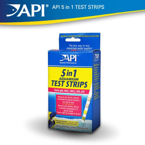 5 in 1 테스트 스트립스 (API 5 in 1 TEST STRIPS)