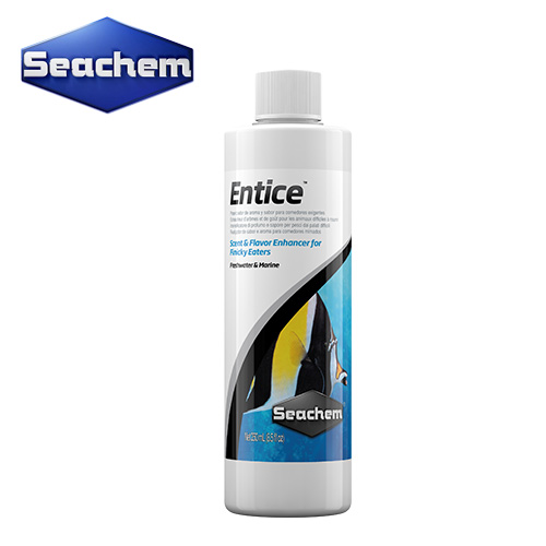 시켐(Seachem) 엔타이스