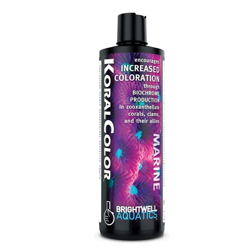 브라이트웰 코랄컬러(KoralColor) 산호, 클램 등 발색 향상